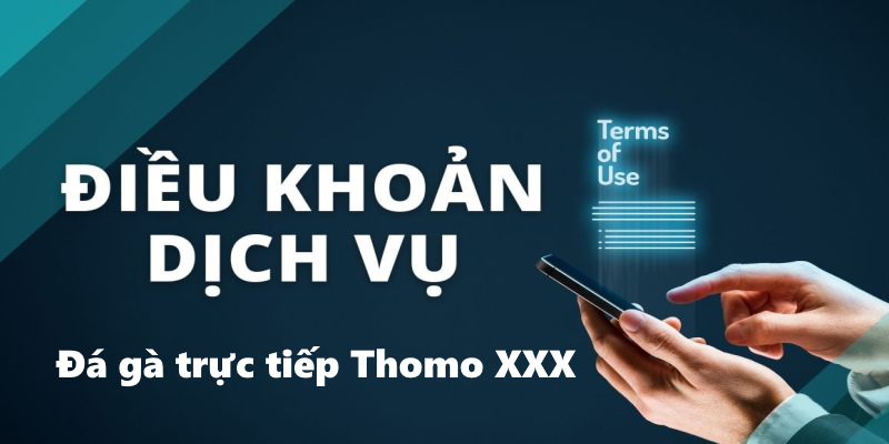 Tham gia trải nghiệm bạn đã đồng ý với điều khoản dịch vị dagatructiepthomo