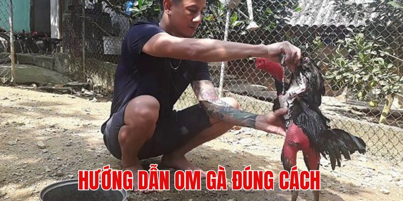 Kỹ thuật om bóp cho các loài kê đúng cách