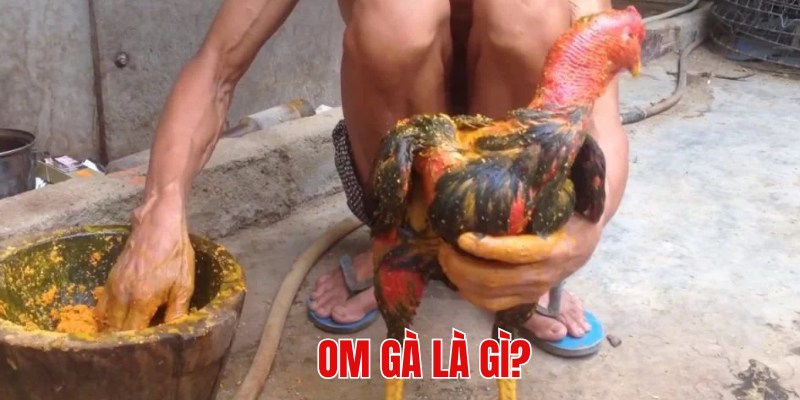 Tìm hiểu kỹ thuật om gà